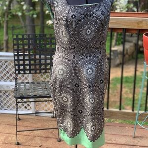 The Limited Dress